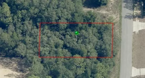 7064 N Ripley Dr, Dunnellon, FL 34433