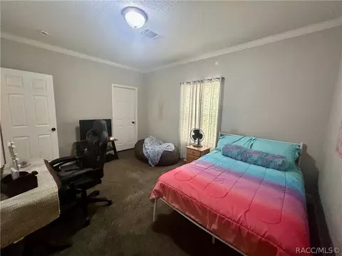 621 E Wacker St, Hernando, FL 34442 photo 27