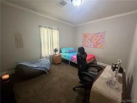 621 E Wacker St, Hernando, FL 34442 photo 26