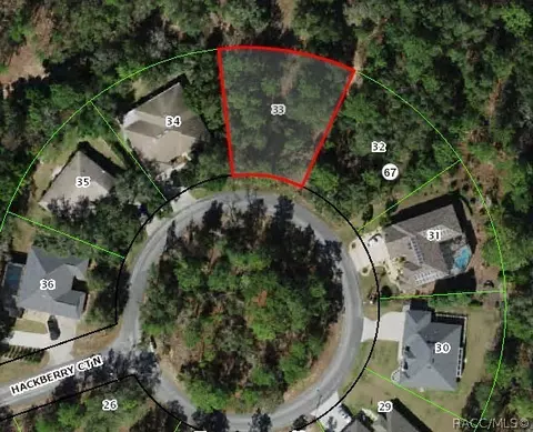 10 Hackberry Ct N, Homosassa, FL 34446