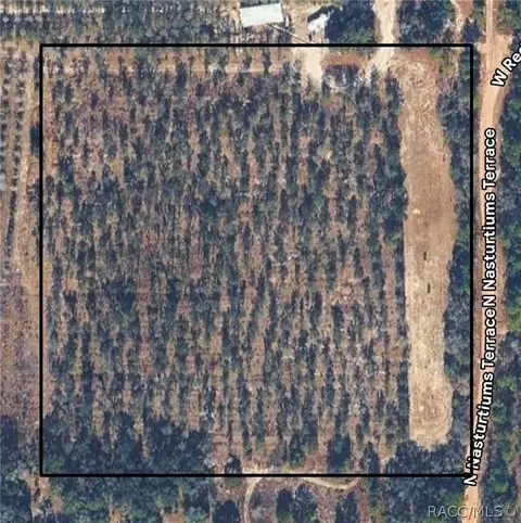 8308 N Nasturtiums Ter, Dunnellon, FL 34433
