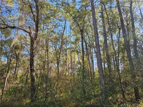 6342 E Glover St, Inverness, FL 34452