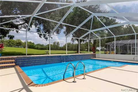 179 W Mickey Mantle Path, Hernando, FL 34442 photo 44