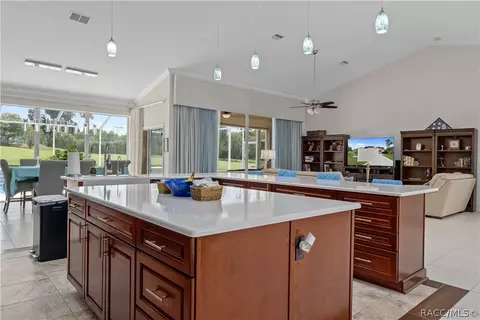 179 W Mickey Mantle Path, Hernando, FL 34442 photo 23