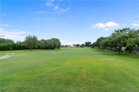 179 W Mickey Mantle Path, Hernando, FL 34442 photo 47