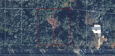 3793 E 3781 E Adams St, Hernando, FL 34442