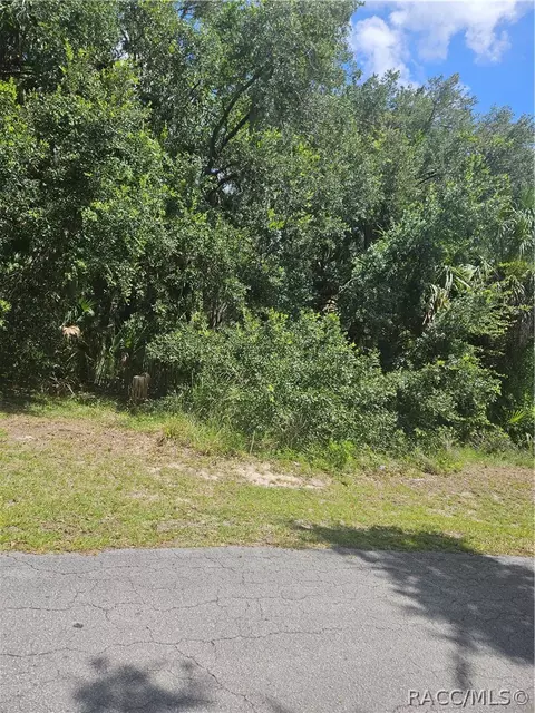60 S Camellia Ave, Crystal River, FL 34429