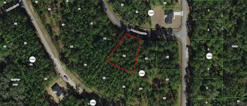 8826 N Irondale Rd, Dunnellon, FL 34434