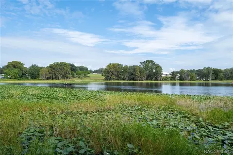 View/Area - 4826 E Amherst St, Hernando, FL 34442 photo 1 of 3