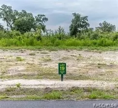 1459 Oxford Preserve Trl, Oxford, FL 34484
