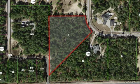 5200 W Deputy Dr, Beverly Hills, FL 34465