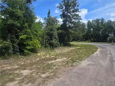 8365 N Ibsen Dr, Citrus Springs, FL 34433