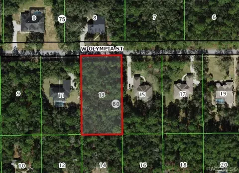 1304 W Olympia St, Hernando, FL 34442