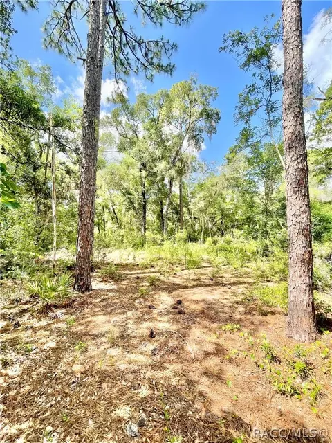 10719 E Tree Ln, Inverness, FL 34450