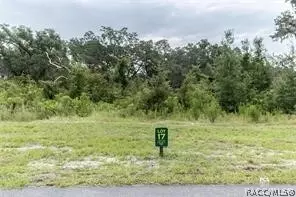 1417 Oxford Preserve Trl, Oxford, FL 34484