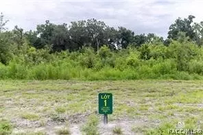 1480 Oxford Preserve Trl, Oxford, FL 34484