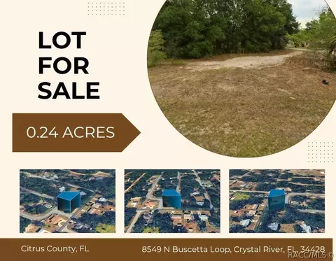 8549 N Buscetta Loop, Crystal River, FL 34428
