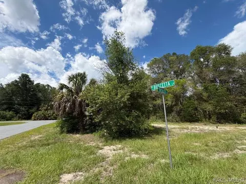 8549 N Buscetta Loop, Crystal River, FL 34428 photo 16