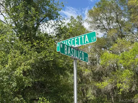 8549 N Buscetta Loop, Crystal River, FL 34428 photo 7