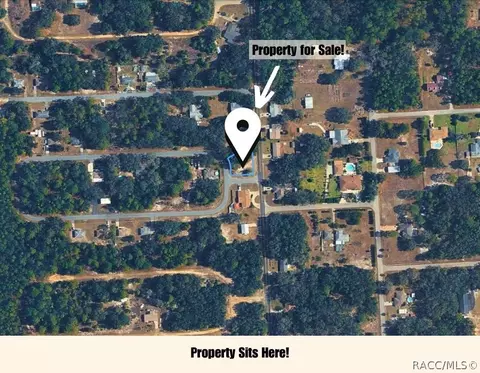 8549 N Buscetta Loop, Crystal River, FL 34428 photo 9