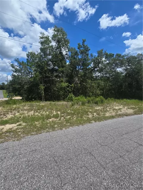 2485 W Braganza St, Dunnellon, FL 34433
