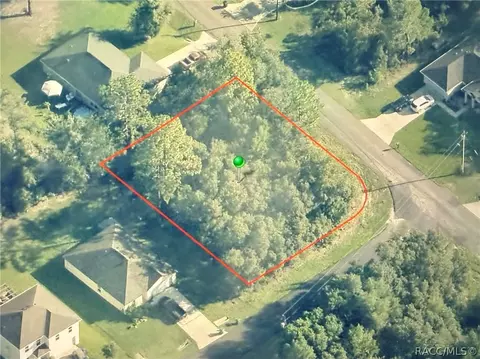 3115 W Babcock Pl, Citrus Springs, FL 34433