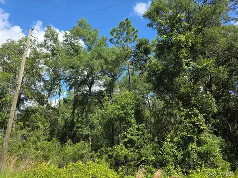 3669 E Baxley Pl, Inverness, FL 34453