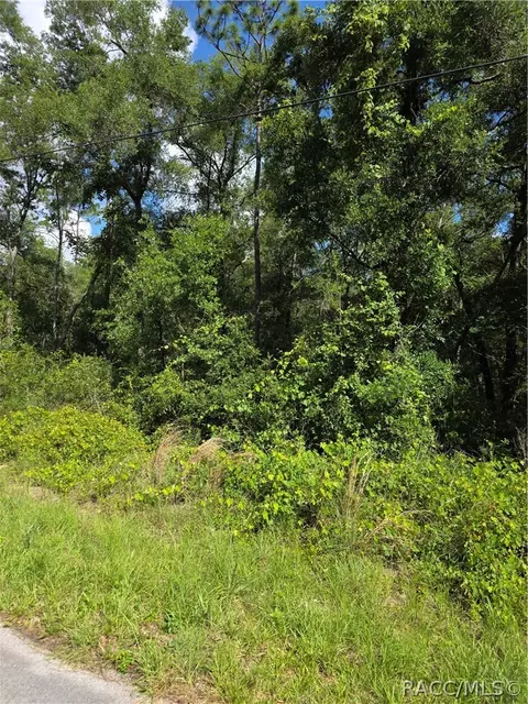 6301 E Quincy St, Inverness, FL 34452