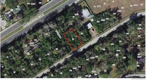 9321 E Royal Palm Dr, Inverness, FL 34450 photo 2