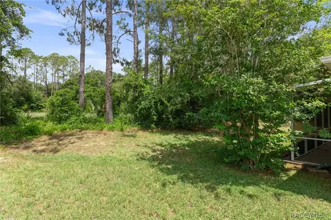 3556 E Cove Park Trl, Hernando, FL 34442 photo 52