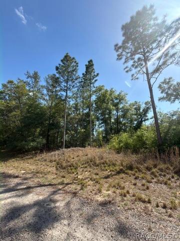 684 E Toledo Dr, Citrus Springs, FL 34434