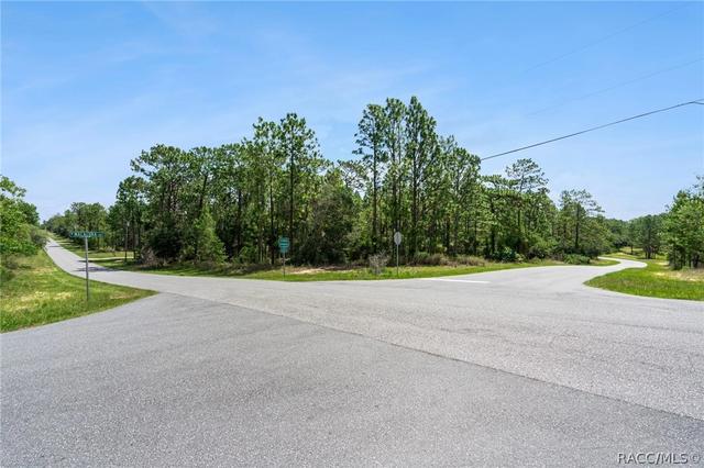 4181 W Malaluka Cir, Citrus Springs, FL 34433