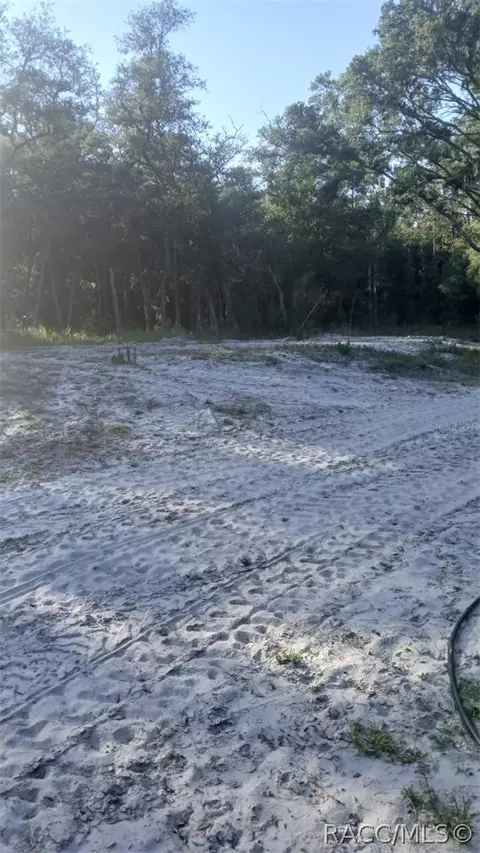 0 Tbd, Webster, FL 33597 photo 5