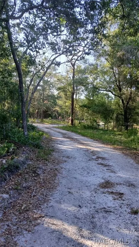 0 Tbd, Webster, FL 33597 photo 2