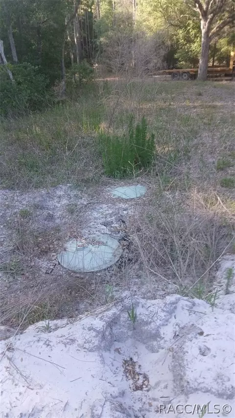 0 Tbd, Webster, FL 33597 photo 6