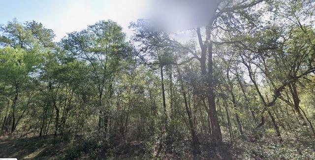 9333 N Kirkland Ter, Dunnellon, FL 34434
