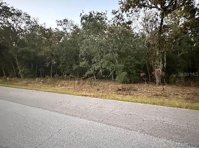 861 W Olympia St, Hernando, FL 34442