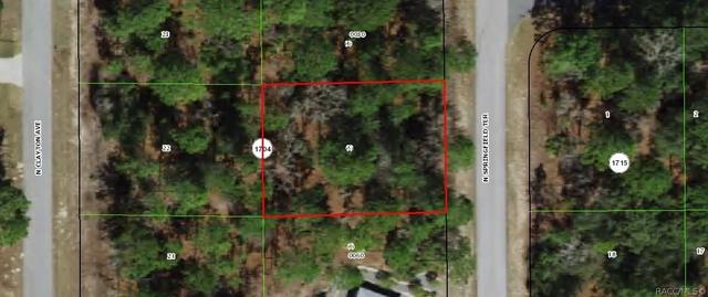 6536 N Springfield Ter, Dunnellon, FL 34434