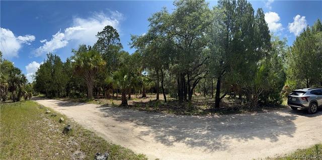 11345 N Moonlight Ter, Inglis, FL 34449