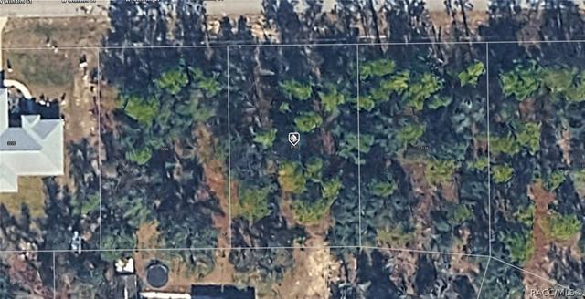 3192 W Wilhelm St, Citrus Springs, FL 34433