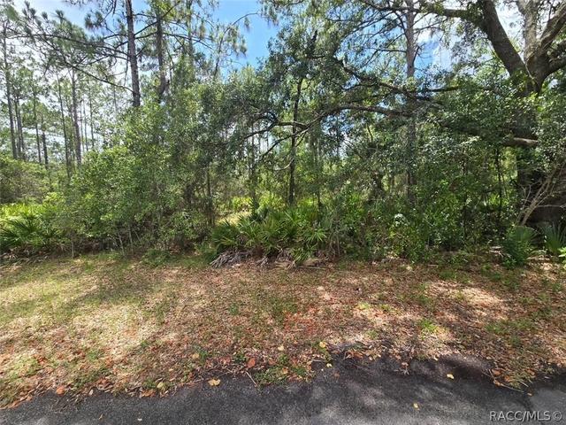 28 Mangrove Ct S, Homosassa, FL 34446