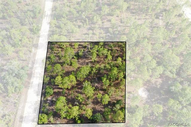 0000 NE 132nd Lot 2 Ter, Williston, FL 32696