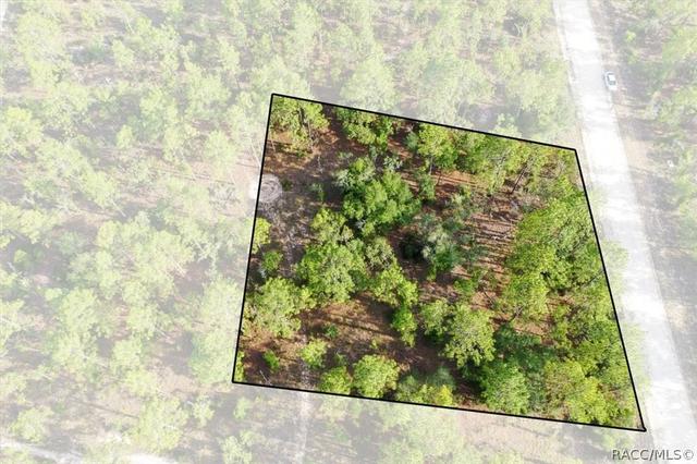0000 NE 131st Lot 9 Ter, Williston, FL 32696