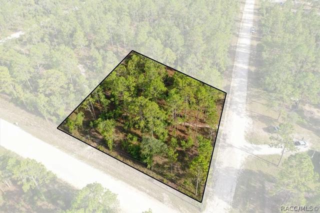 0000 NE 131st Lot 10 Ter, Williston, FL 32696