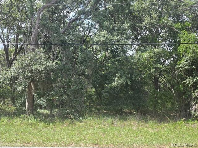 135 W Pearson St, Hernando, FL 34442