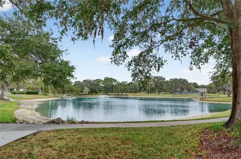 View/Area - 1603 N Foxboro Loop, Crystal River, FL 34429 photo 2 of 6