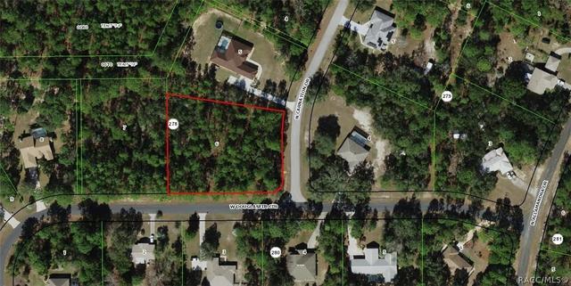 3735 W Douglasfir Cir, Beverly Hills, FL 34465