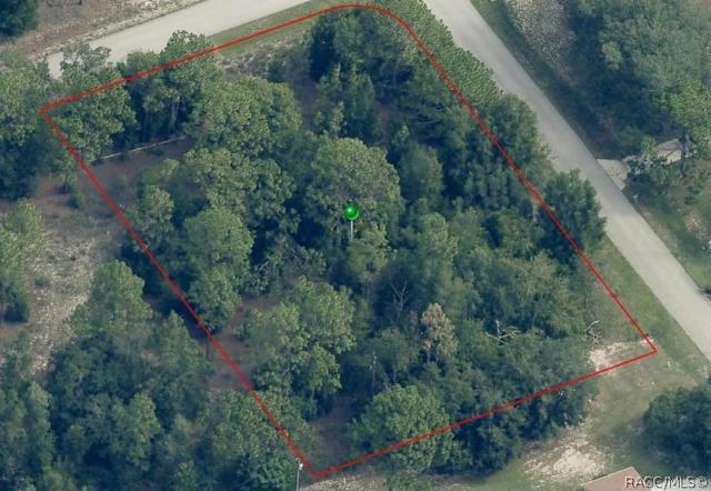 2004 W Huntington Dr, Beverly Hills, FL 34465