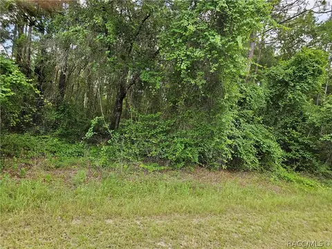 4912 E Cristen Ct, Inverness, FL 34452