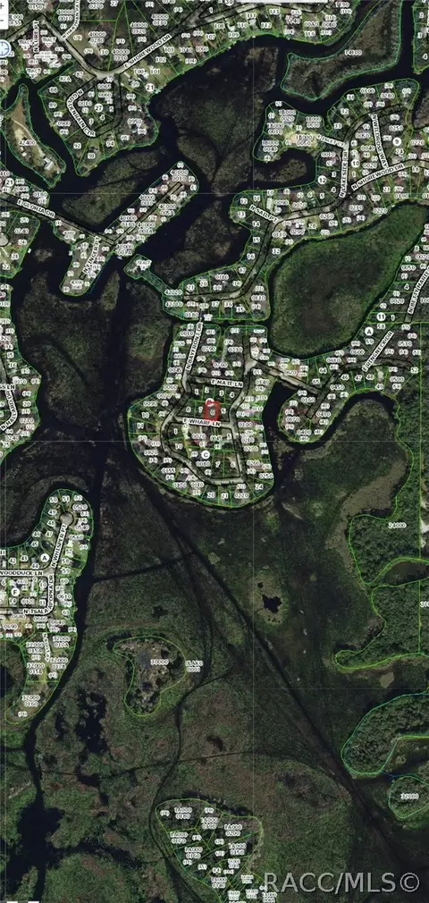 4399 E Wharf Ln, Hernando, FL 34442 photo 2
